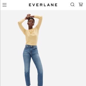 Everlane Japanese Denim Cheeky Jean